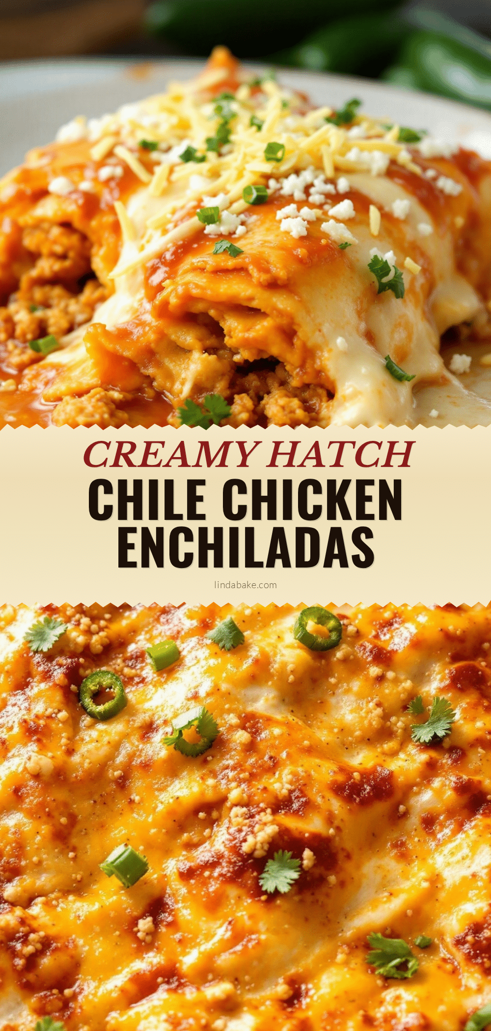 creamy hatch green chile chicken enchiladas recipe