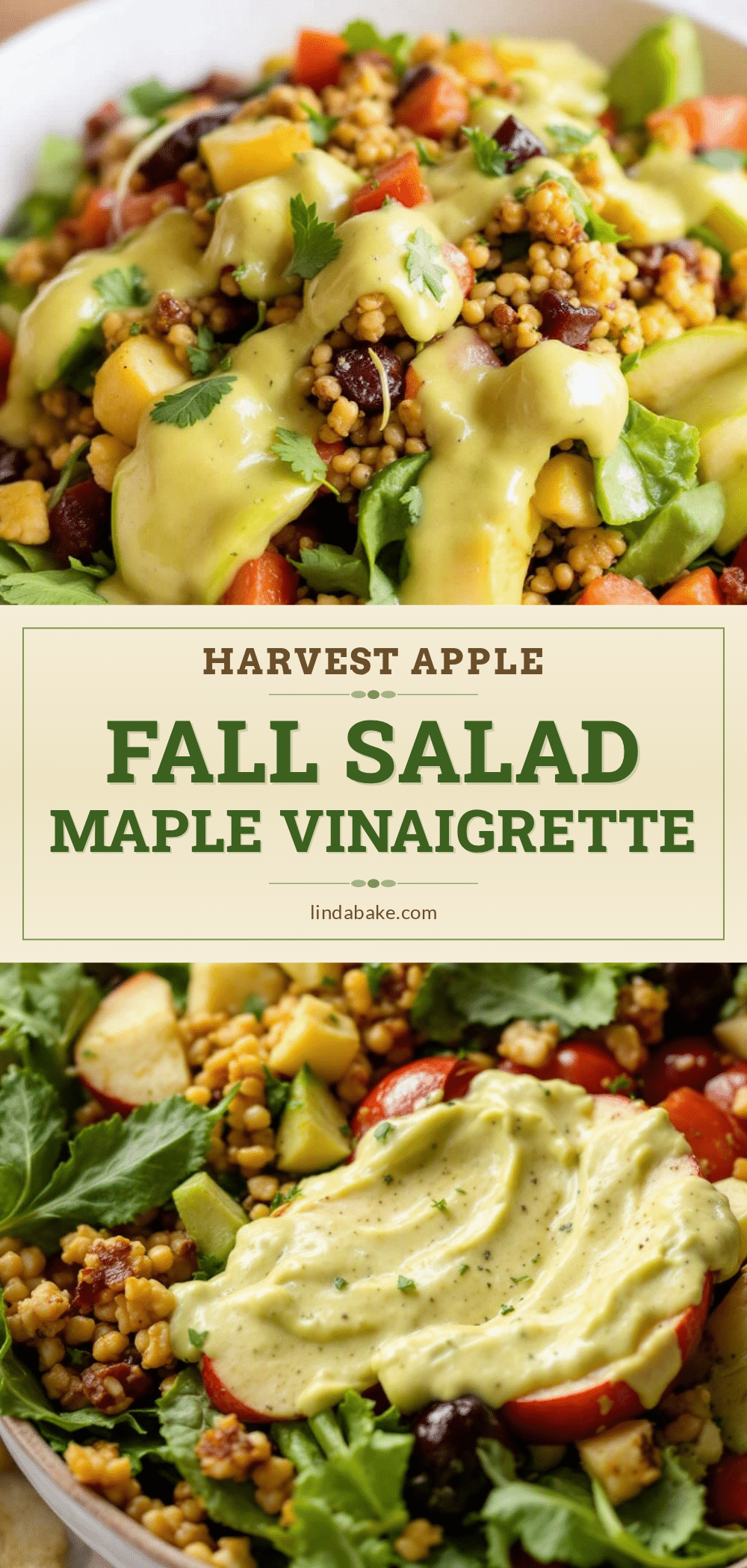 fresh harvest apple fall salad recipe