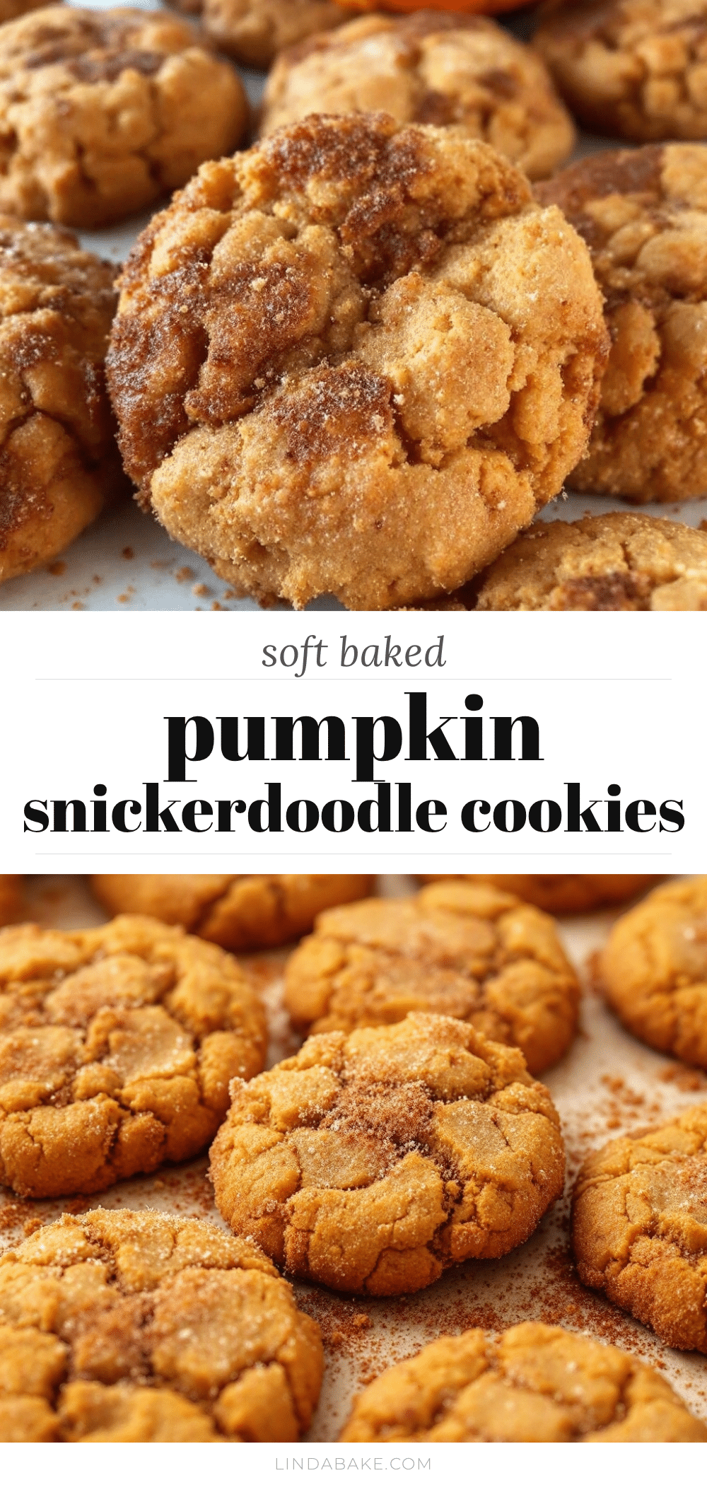 pumpkin snickerdoodle cookies recipe