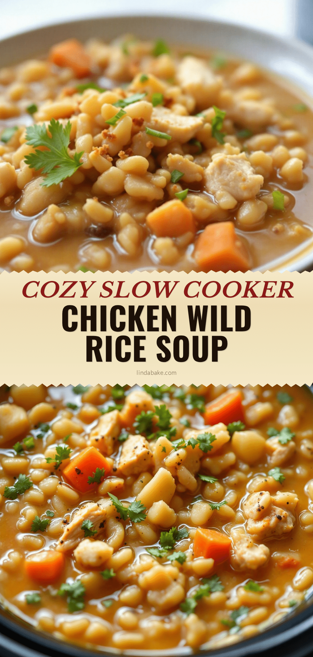 slow cooker chicken and wild rice soup recipe