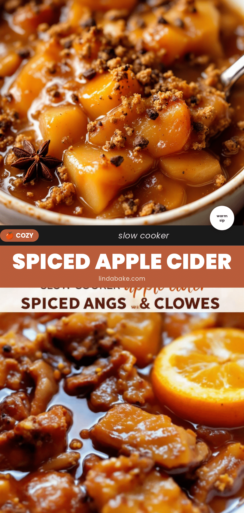 slow cooker spiced apple cider recipe