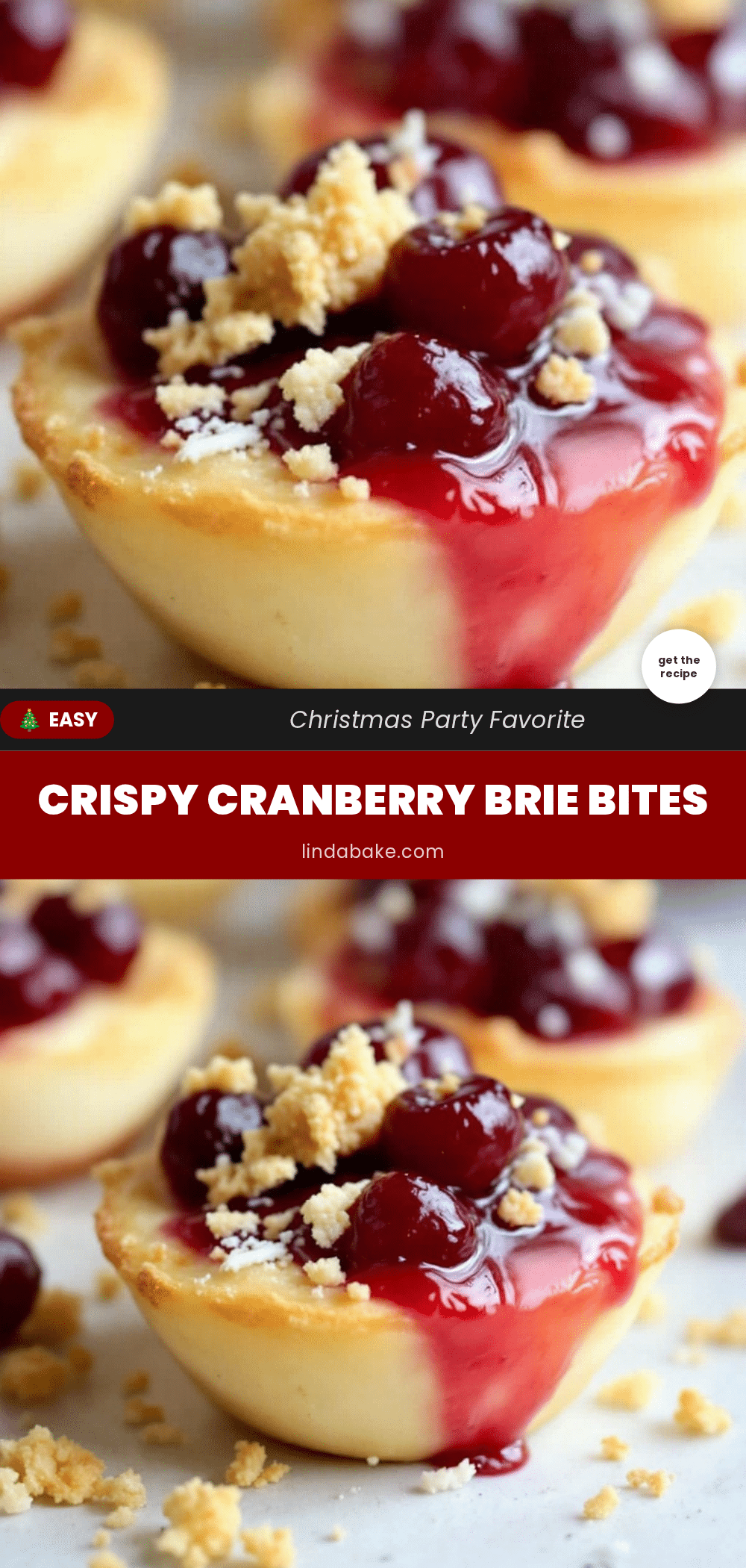 crispy cranberry brie bites recipe