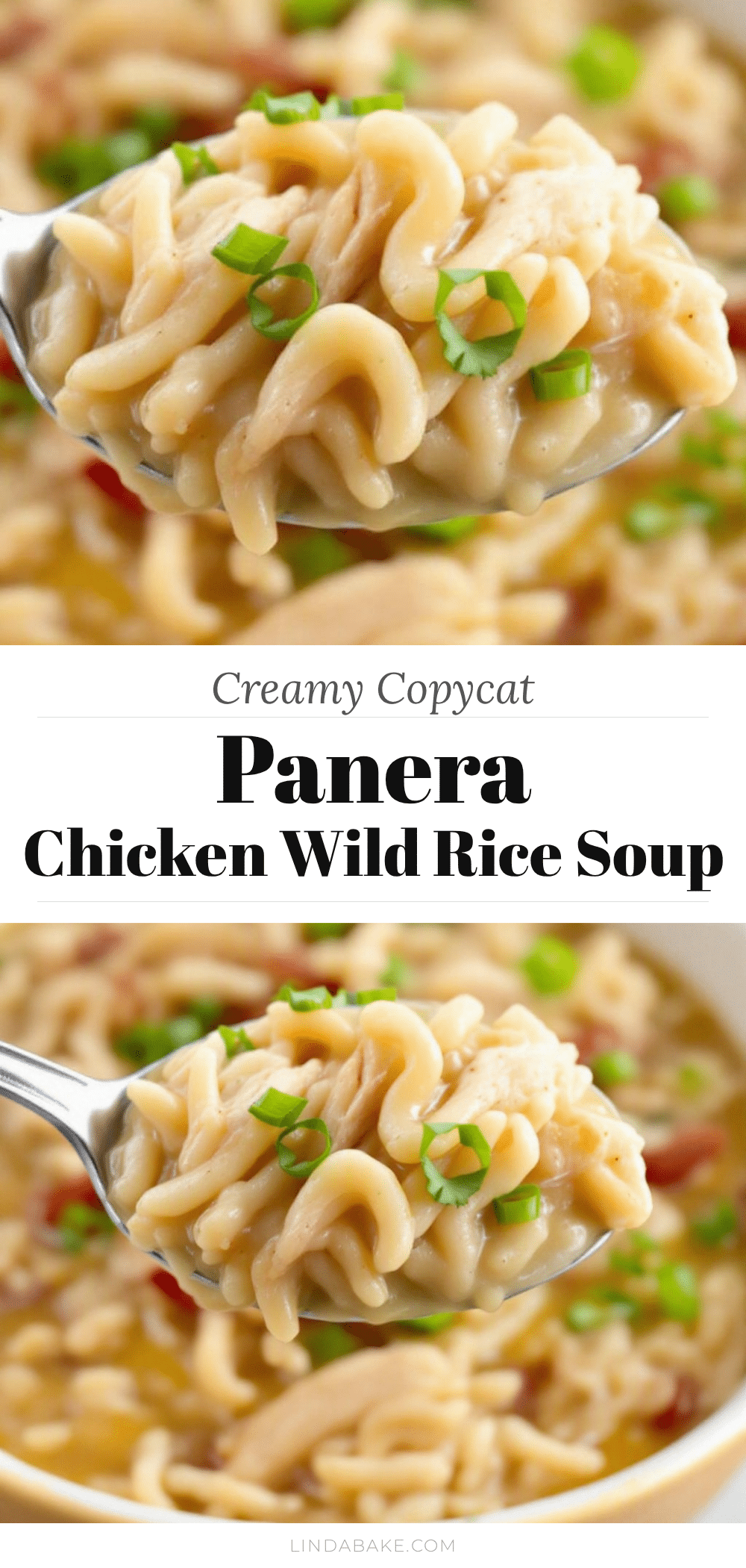 Panera Chicken and Wild Rice Soup recipe