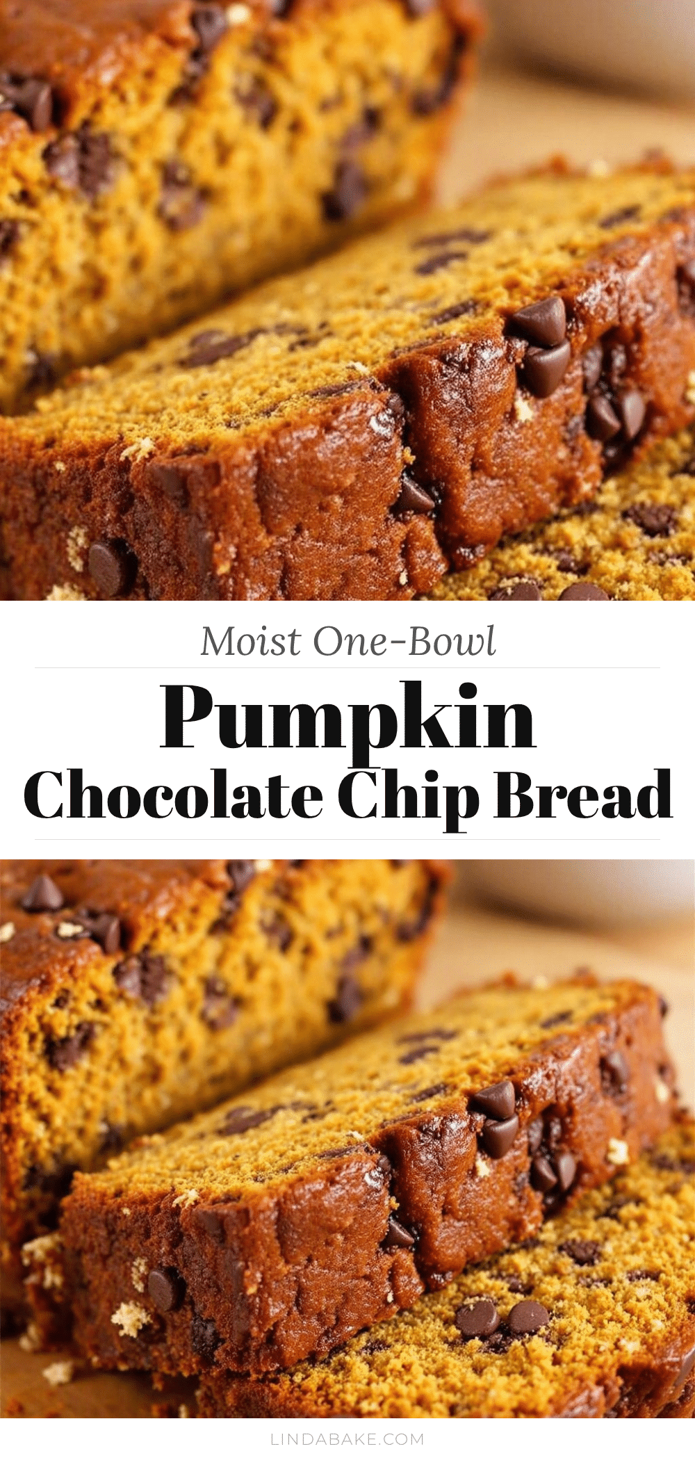 pumpkin chocolate chip bread recipe