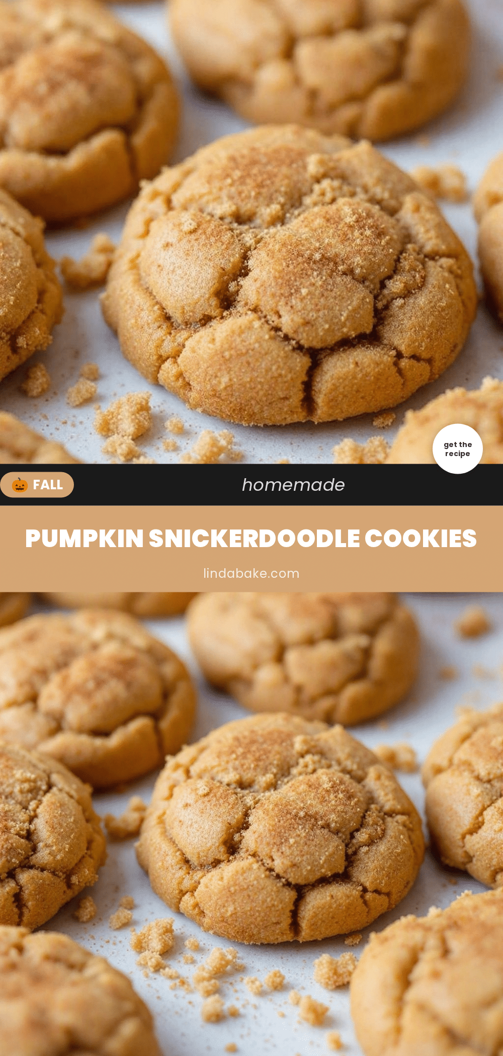 soft chewy pumpkin snickerdoodle cookies recipe