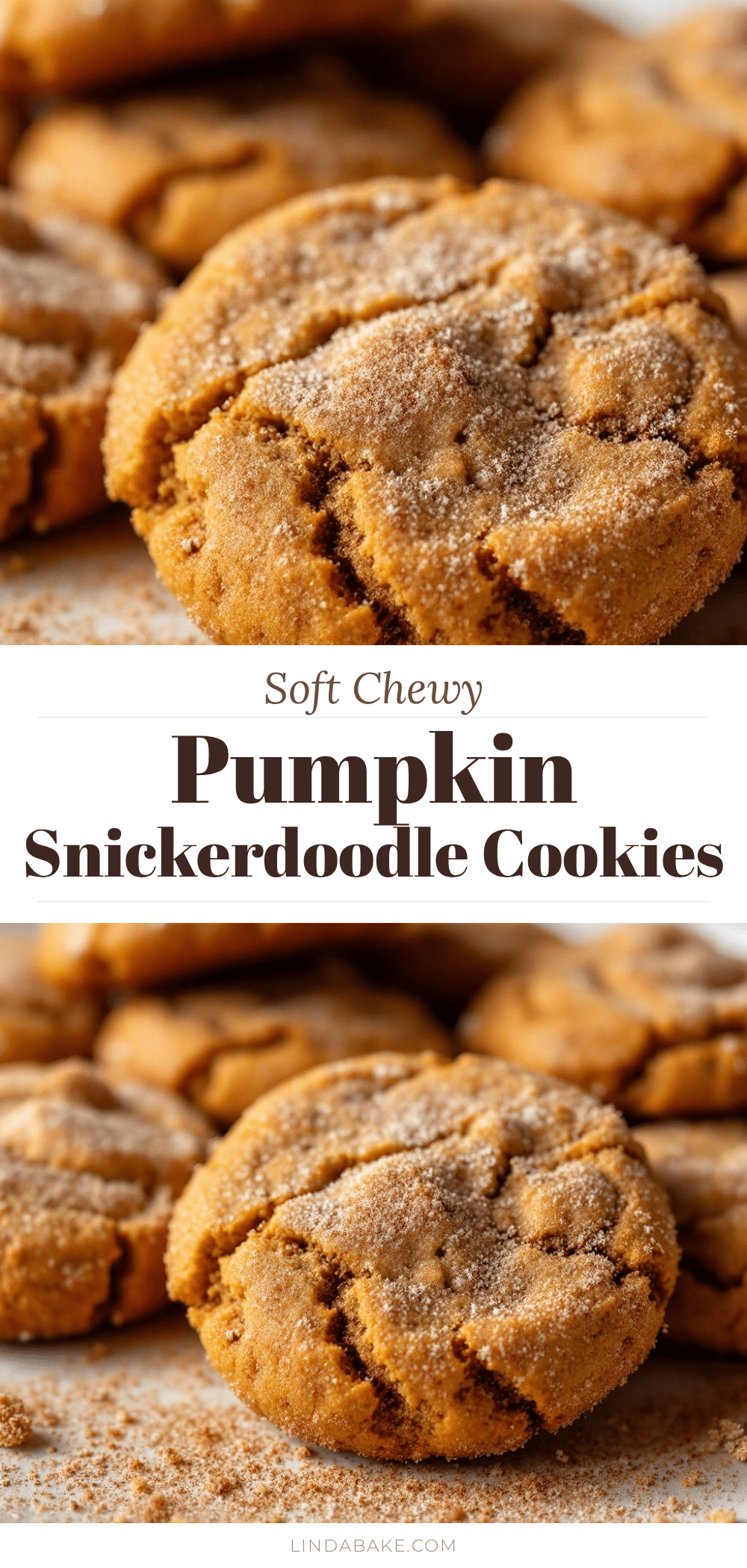 soft pumpkin snickerdoodle cookies recipe